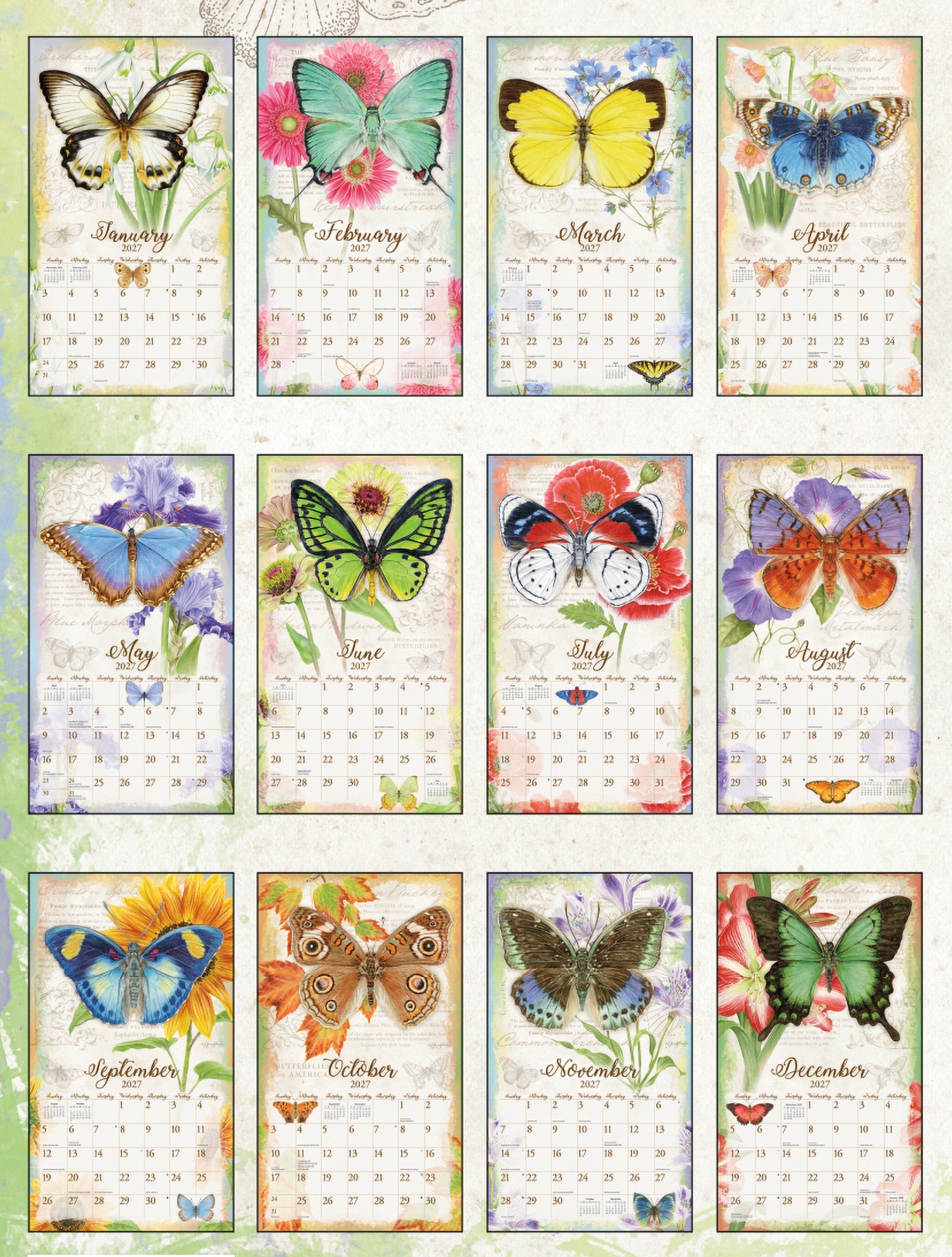 Butterflies 2027 Lang Kalender 27991001898-1 2027 Butterflies kalender met alle maandillustraties van vlinders en bloemen in één overzicht.