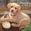 Wandkalender ‘Puppy Kalender 2027’ van Jim Lamb met realistische puppy-illustraties.