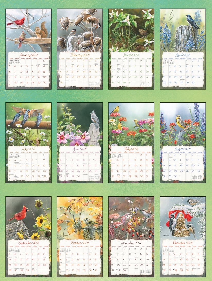 Songbirds 2027 Lang Kalender 27991001880-02 Overzicht van alle 12 maanden van de Songbirds 2027 kalender van Susan Bourdet.