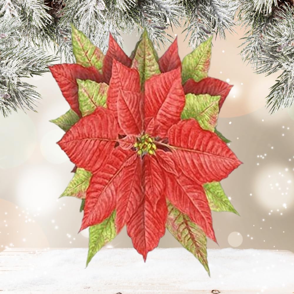 Poinsetta 3D Christmas Lang Cards 1116009 Poinsetta 3D Christmas Lang Cards 1116009